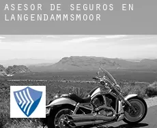 Asesor de seguros en  Langendammsmoor