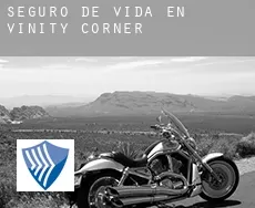 Seguro de vida en Vinity Corner