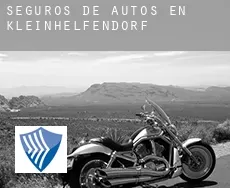 Seguros de autos en  Kleinhelfendorf