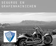 Seguros en  Gräfenhainichen