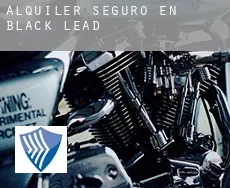 Alquiler seguro en  Black Lead