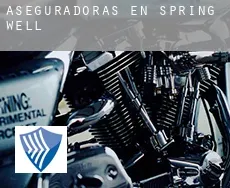 Aseguradoras en  Spring Well