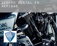 Seguro dental en  Akpınar