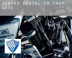 Seguro dental en  Chop Gate