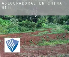 Aseguradoras en  China Hill