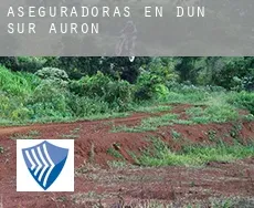Aseguradoras en  Dun-sur-Auron