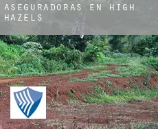 Aseguradoras en  High Hazels