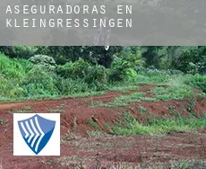 Aseguradoras en  Kleingressingen