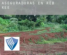 Aseguradoras en  Reb Kee