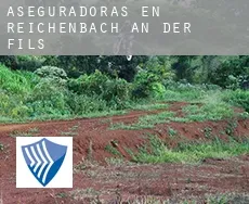 Aseguradoras en  Reichenbach an der Fils