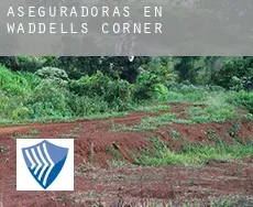 Aseguradoras en  Waddells Corner