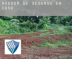 Asesor de seguros en  Coso