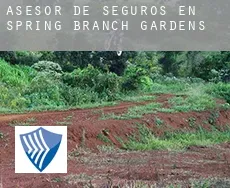 Asesor de seguros en  Spring Branch Gardens