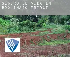 Seguro de vida en  Boolinaig Bridge