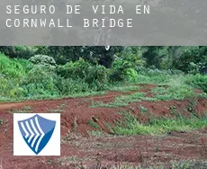 Seguro de vida en  Cornwall Bridge