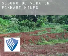Seguro de vida en Eckhart Mines