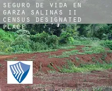 Seguro de vida en  Garza-Salinas II