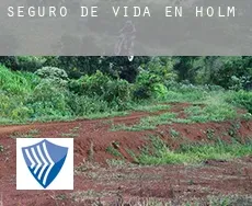 Seguro de vida en  Holm