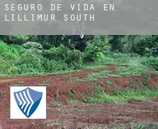 Seguro de vida en  Lillimur South