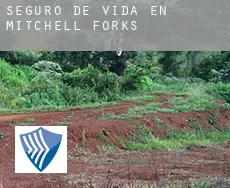 Seguro de vida en  Mitchell Forks