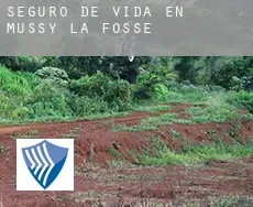 Seguro de vida en  Mussy-la-Fosse