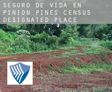 Seguro de vida en  Pinion Pines