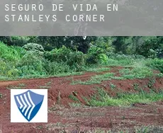 Seguro de vida en  Stanleys Corner