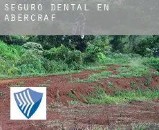 Seguro dental en  Abercraf