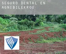 Seguro dental en  Agnibilékrou