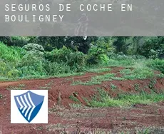 Seguros de coche en Bouligney