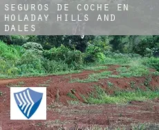 Seguros de coche en  Holaday Hills and Dales