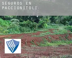 Seguros en  Paccionitoli