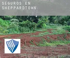 Seguros en  Sheppardtown