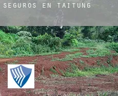 Seguros en  Taitung