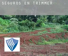 Seguros en  Trimmer