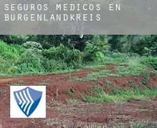 Seguros medicos en  Burgenlandkreis