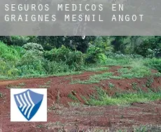 Seguros medicos en  Graignes-Mesnil-Angot