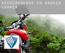 Aseguradoras en Badger Corner