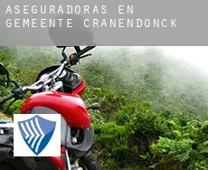 Aseguradoras en Gemeente Cranendonck