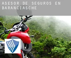 Asesor de seguros en  Baranciasche
