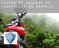 Asesor de seguros en  Courcelles-en-Barrois