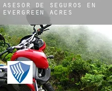 Asesor de seguros en Evergreen Acres