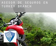 Asesor de seguros en  Turkey Branch