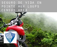 Seguro de vida en  Pointe-aux-Loups (census area)