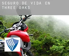 Seguro de vida en  Three Oaks