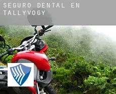 Seguro dental en  Tallyvogy