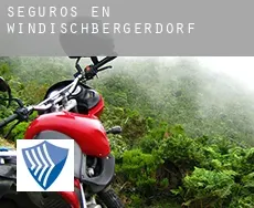 Seguros en  Windischbergerdorf