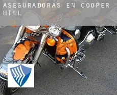 Aseguradoras en  Cooper Hill