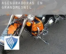 Aseguradoras en  Grandmesnil