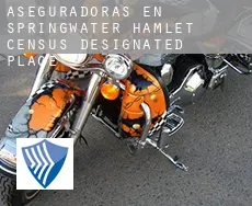Aseguradoras en  Springwater Hamlet
